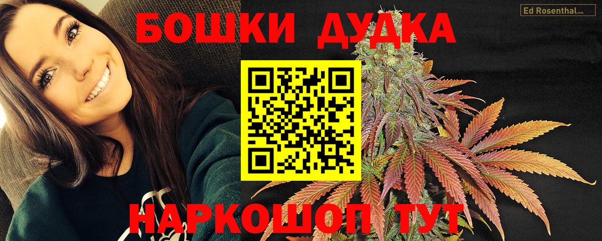 Бошки марихуана SATIVA & INDICA Ноябрьск